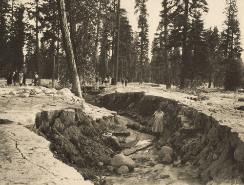 Mud Creek Glacier Album