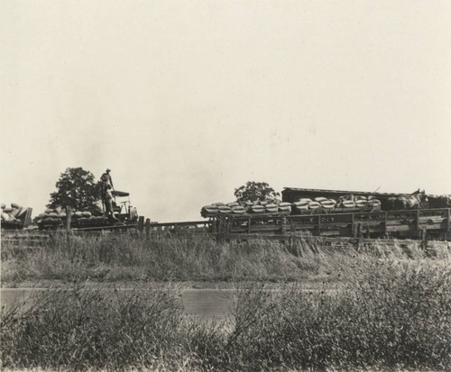 Sacramento Valley Sugar Company - Harvesting