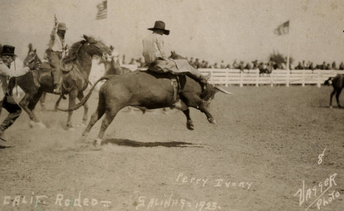 Perry Ivory, California Rodeo