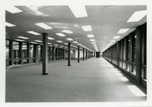 Chico State Meriam Library