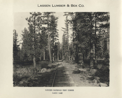 Logging Railroad