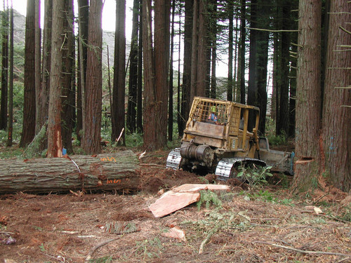 Skidding redwood logs--Soper-Wheeler Company