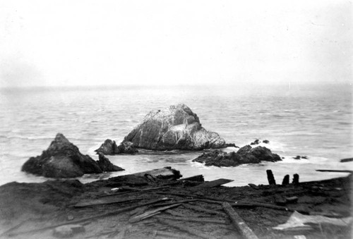 Coastline with Wreckage from San Francisco Earthquake