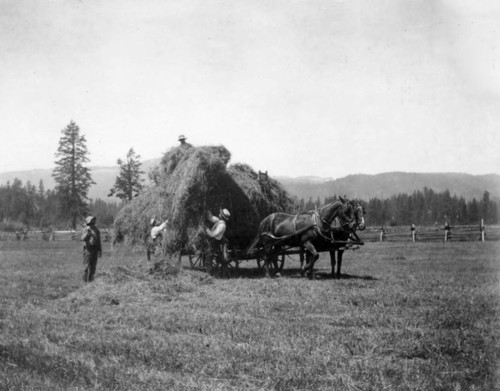 Loading Hay Wagon at Spanish Ranch