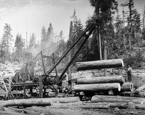 Hoisting Logs