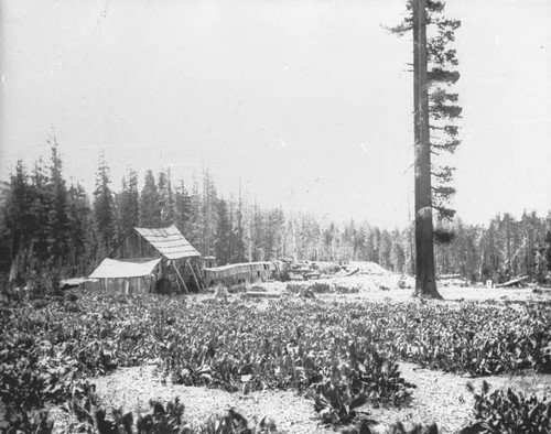 Cabin at mine shaft