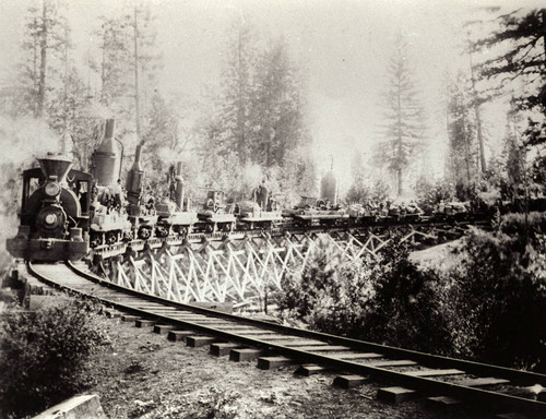 Train on Trestle, Lyonsville