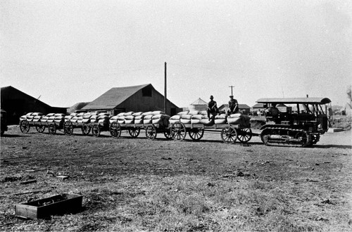 Steam Tractor