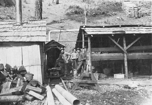 Nelson Mine, Plumas County