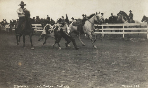 John Dobbins, Cal Rodeo