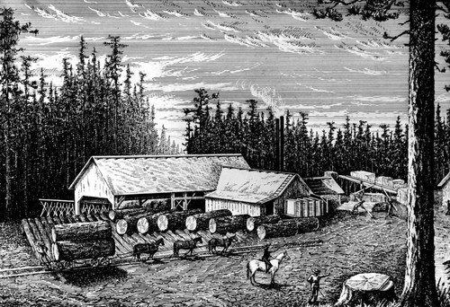 Sierra Flume and Lumber Company