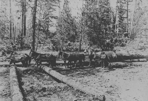 Hauling log near Lyonsville