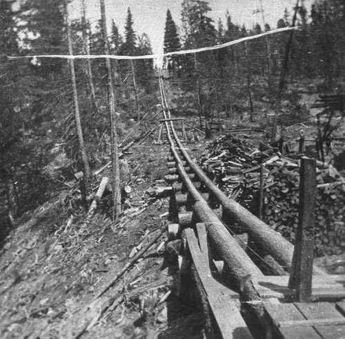 Log chute