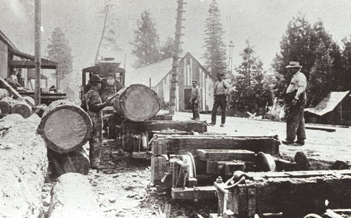 Unloading Logs at Lyonsville Mill