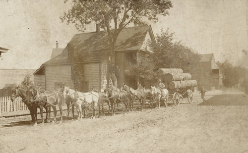 Charles W. Blakesley with team hauling logs