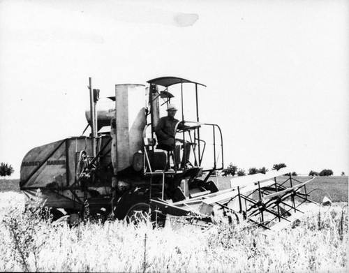 Massey Harris Grain Harvester