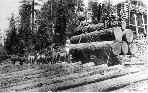 Lumbermen at Vilas Mill