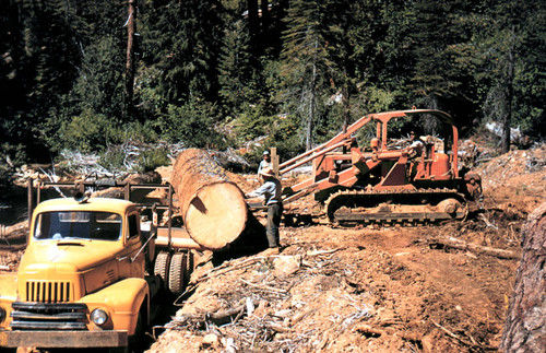 Loading logging truck--Soper-Wheeler Company