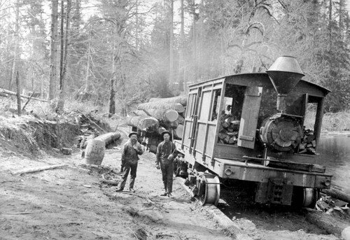 Logging train