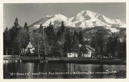 Fish Hatchery