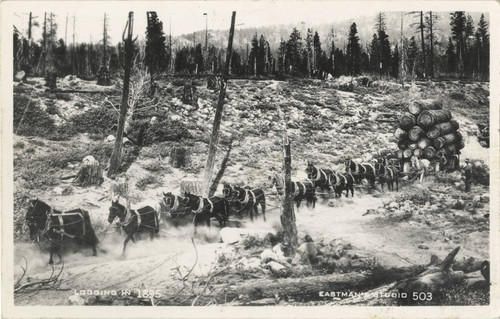 Logging Wagon