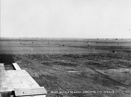 Aerial View of Mills Orchard