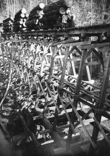 Trestle on logging railroad