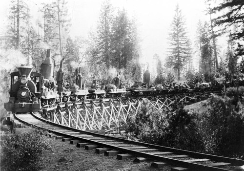 Logging Train