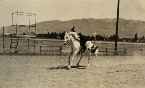 Pendleton Round-Up