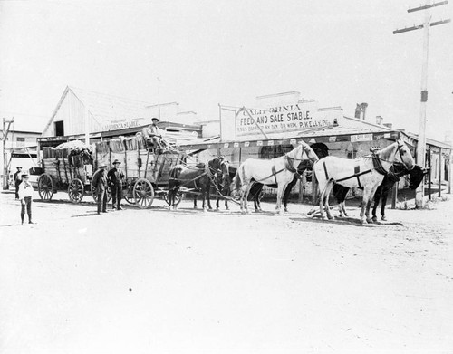 California Feed and Sale Stable