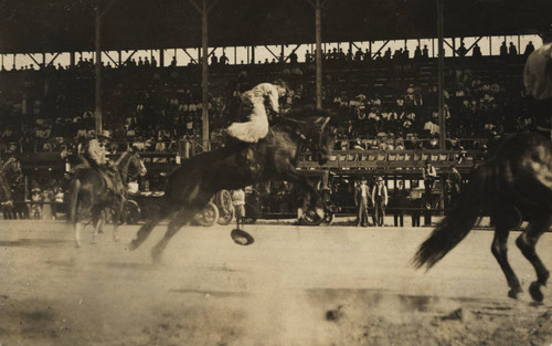 John Dobbins, Boise Stampede