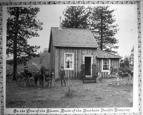 Igerna Log Cabin