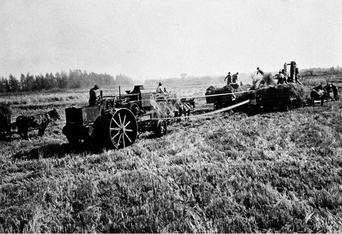 Rice Harvesting