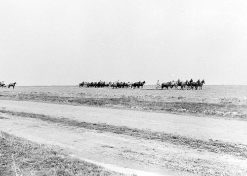 Glenn County Fields