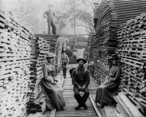 Lumbermill in Shasta County