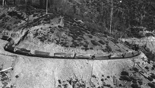 Diamond Logging Train