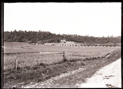 Bird's eye view of Citrus Colony Club House