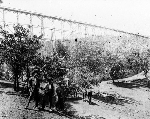 Sierra Lumber Company Flume