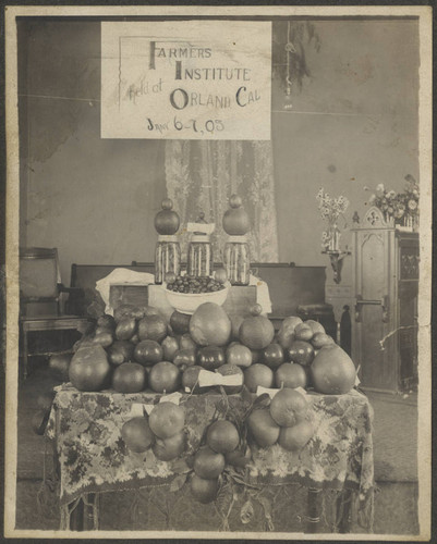 Orland Fruit Display