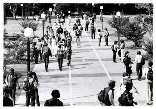 Campus Walkway