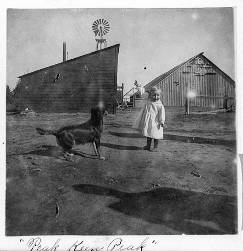 Farm Child and Dog