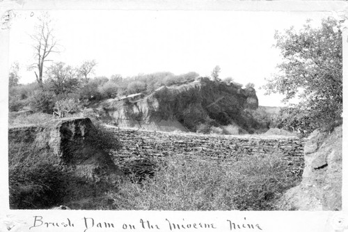 Brush dam on the Miocene Mine