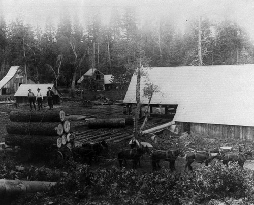 Vilas Mill