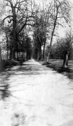 Bicycle Path on Esplanade