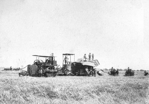 W. G. Carpenter Steam Harvester
