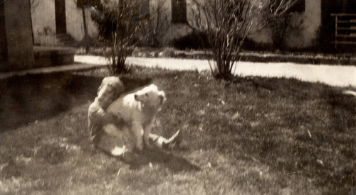 Earl Dobbins in Chico