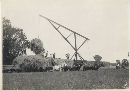 Loading hay on the Wilson Ranch