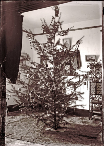 Christmas tree inside the Crew house