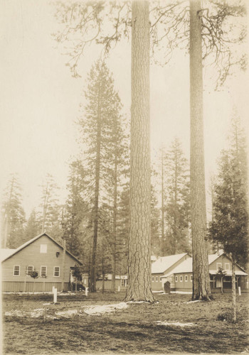 McCloud River Lumber Company