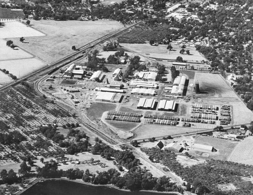 Aerial View of Diamond Match Company